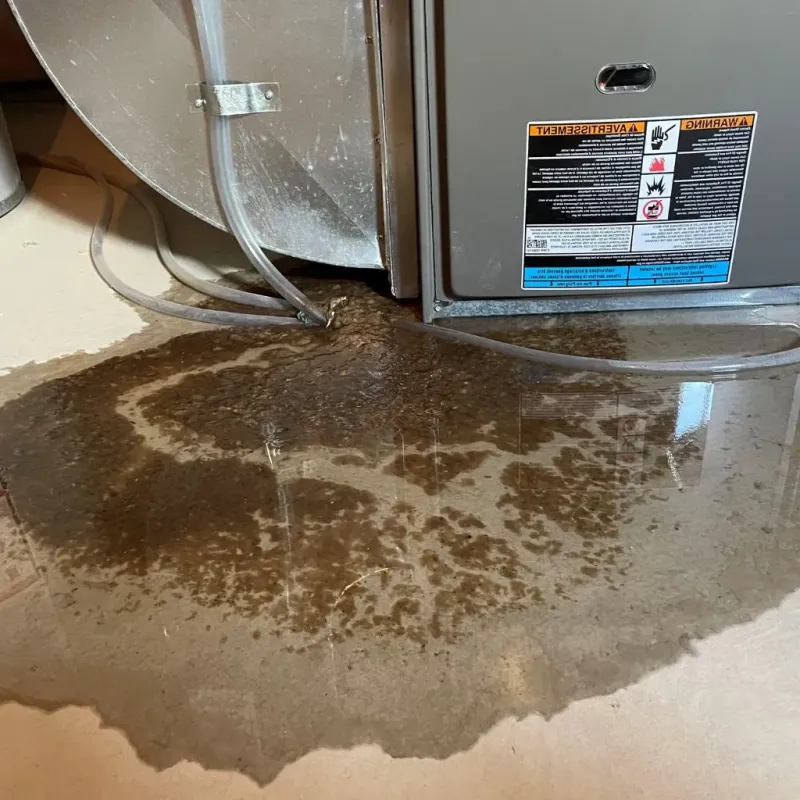 Pipe Burst and Leak Restoration in Patterson Tract, CA